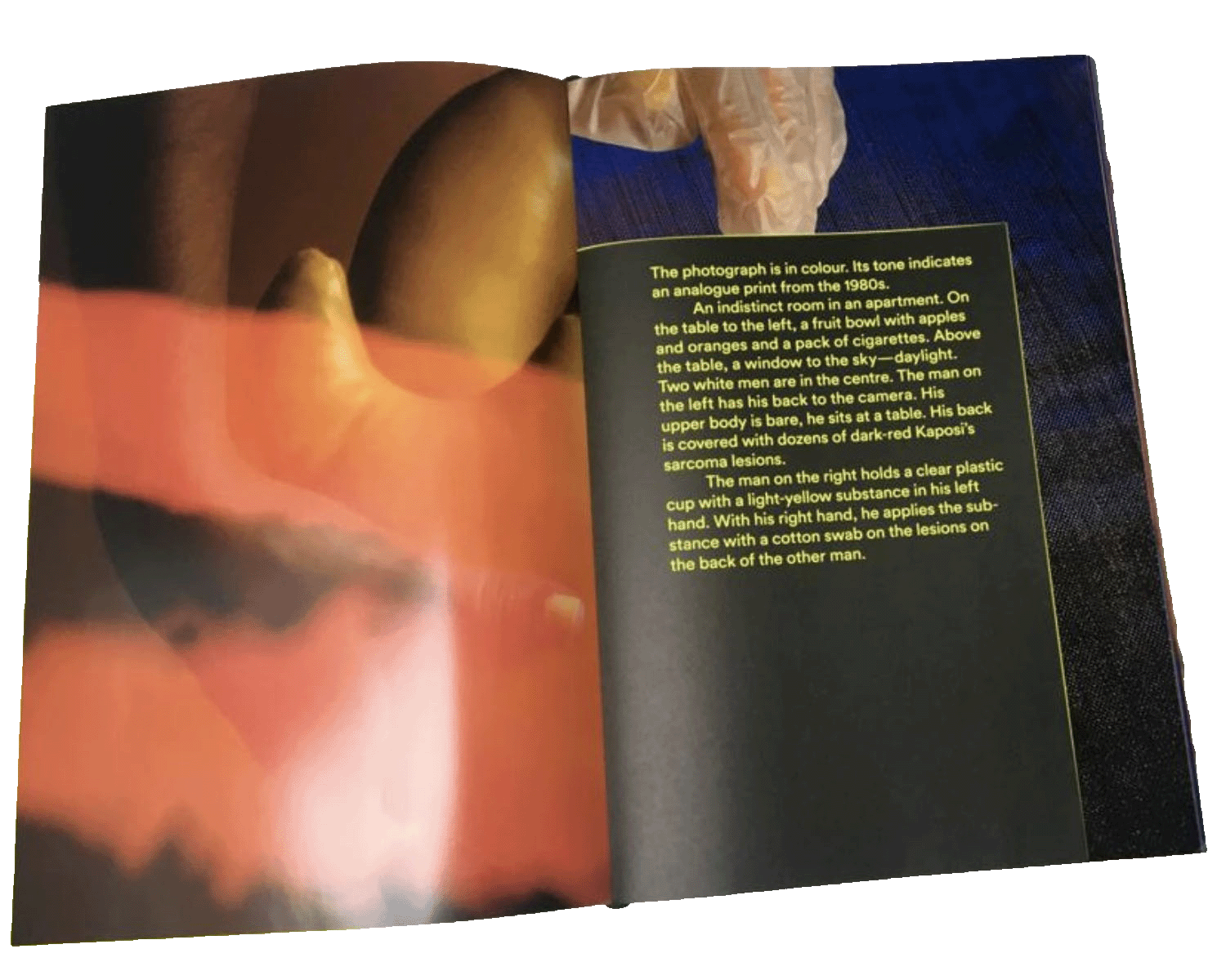 DNCB publication